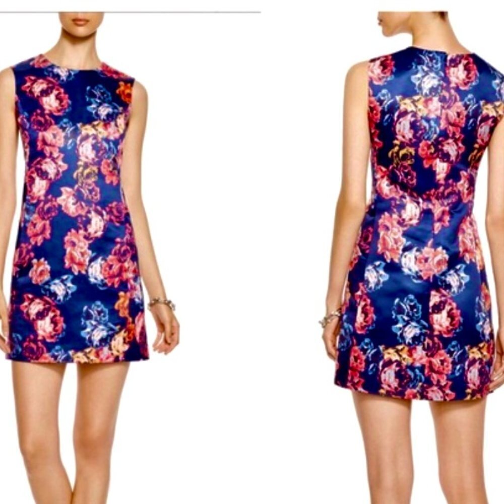 $248 EUC Cynthia Steffe  Gabrielle Dress Floral Shift Sleeveless 6